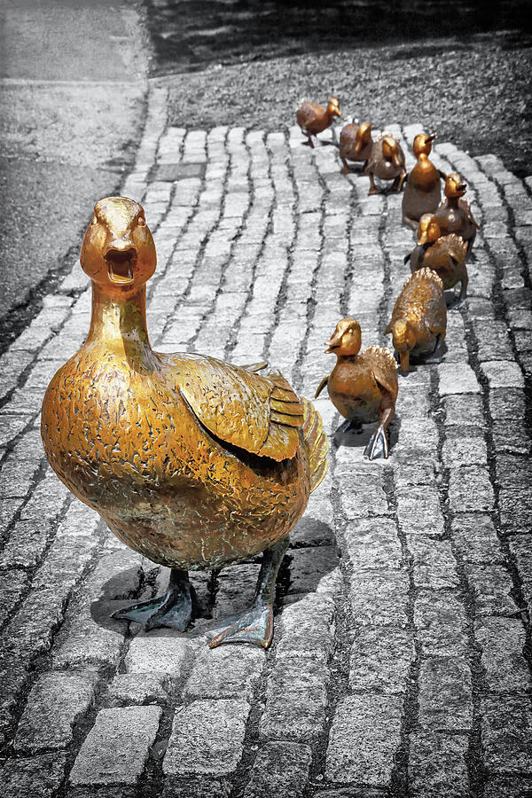 Boston Public Garden Make Way For Ducklings Selective Color Photograph by Carol Japp