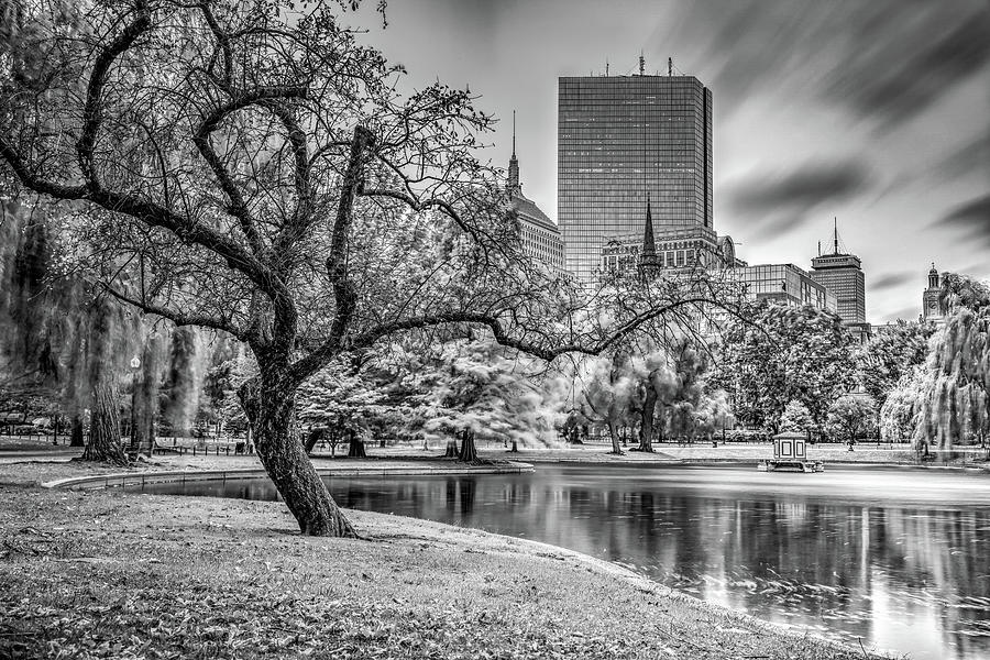 Boston Public Garden Skyline - Black and White Photograph by Gregory Ballos