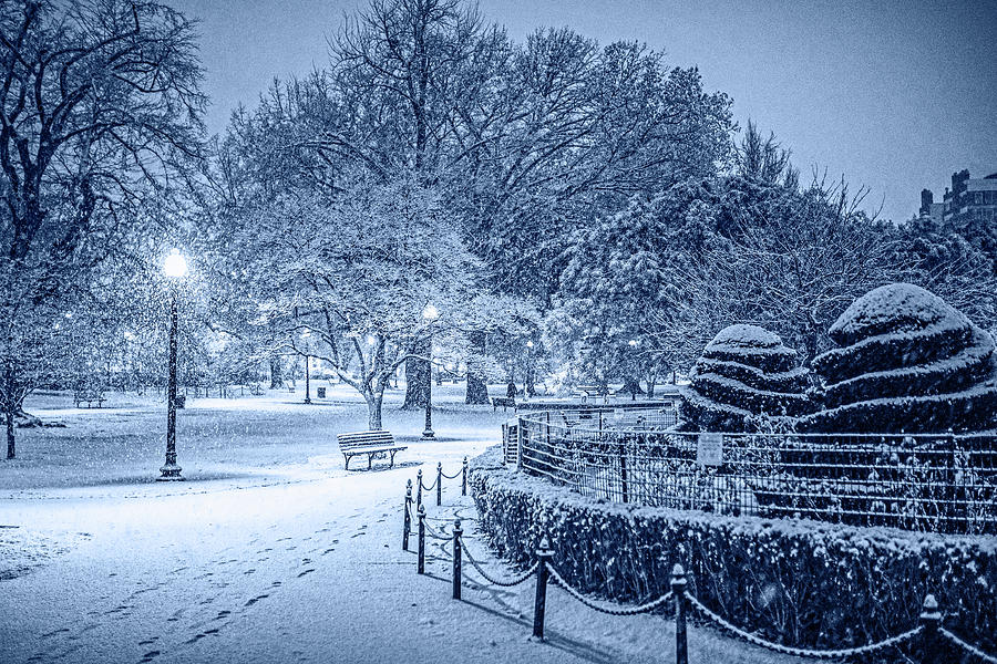 Boston Public Garden Snow Storm MA Massachusetts Shrubs Monochrome Blue Nights Photograph by Toby McGuire