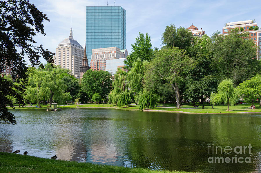 Boston Public Gardens Landscape Photograph by Bob Phillips
