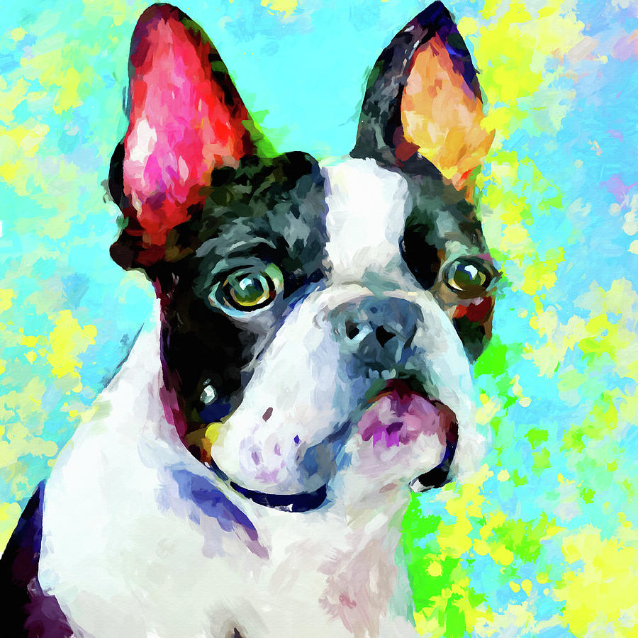 Boston Terrier 5 Painting by Chris Butler - Fine Art America