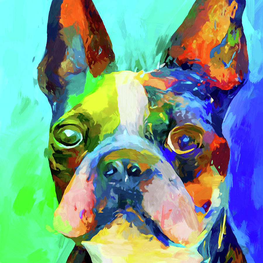 Boston Terrier 7 Painting by Chris Butler - Fine Art America