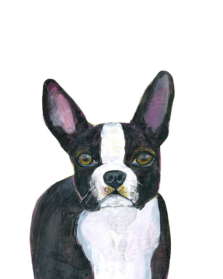 Boston Terrier Portrait Painting by Blenda Studio