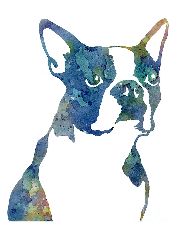 Boston Terrier Blue Abstract Painting by DJ Rogers - Pixels