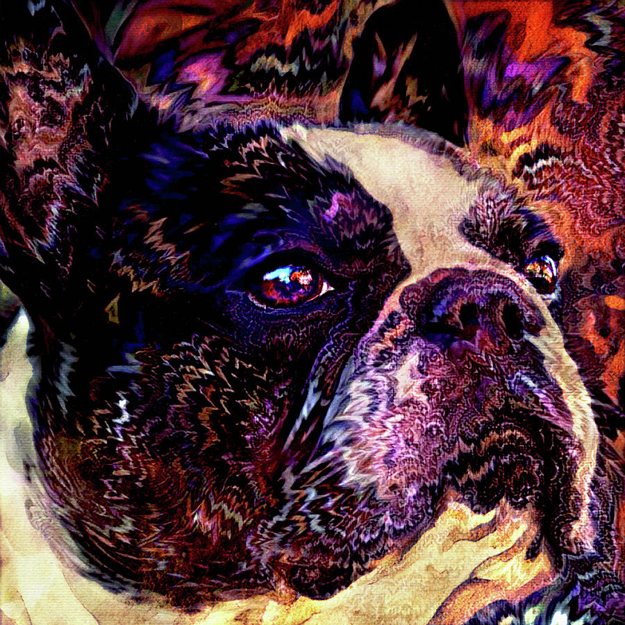 French Bulldog Portrait Digital Art by Peggy Collins