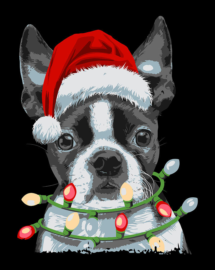 Boston Terrier Santa Christmas Tree Lights Xmas Gifts Boys Drawing by ...