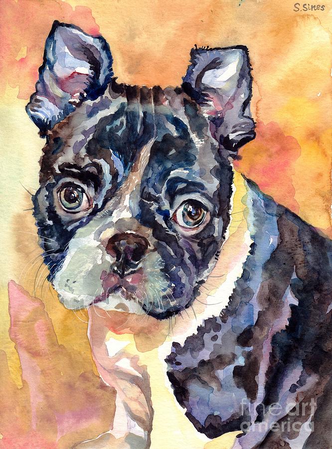 Animal Painting - Boston Terrier by Suzann Sines