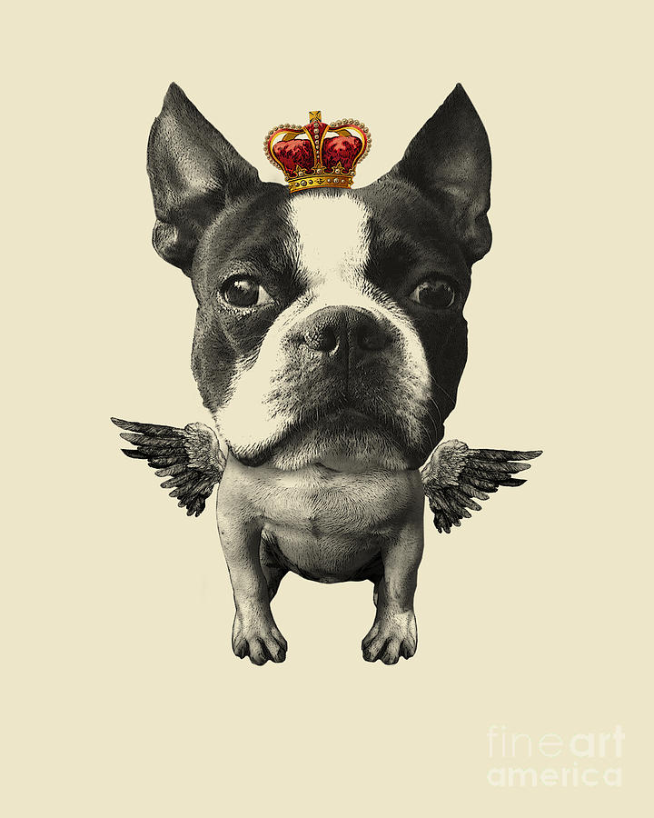 Dog Digital Art - Boston Terrier, The King by Madame Memento