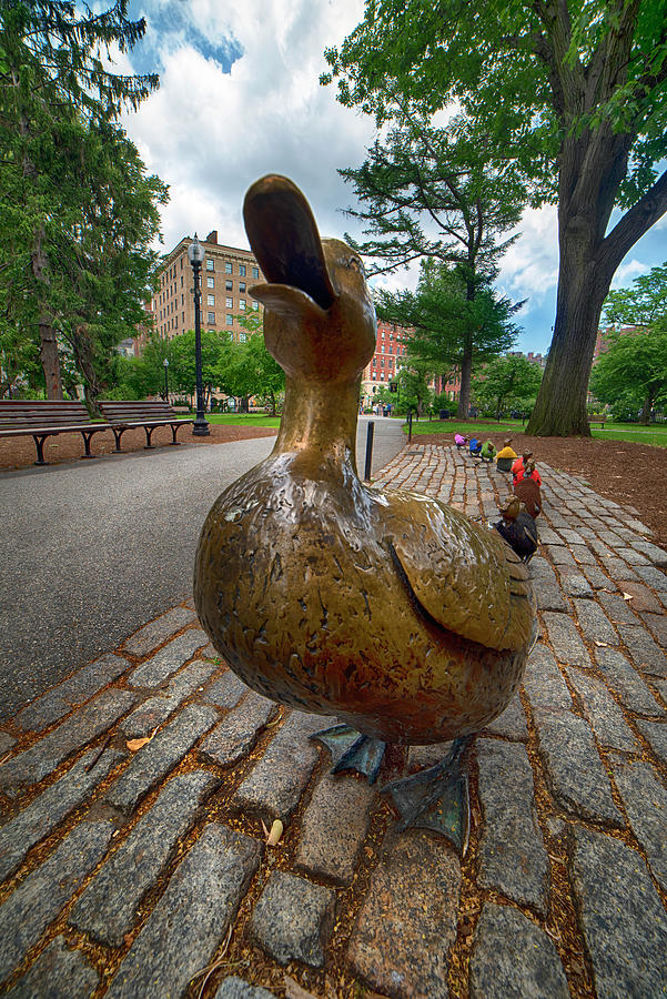 Bostons Make Way For Ducklings - Public Garden Photograph by Joann Vitali