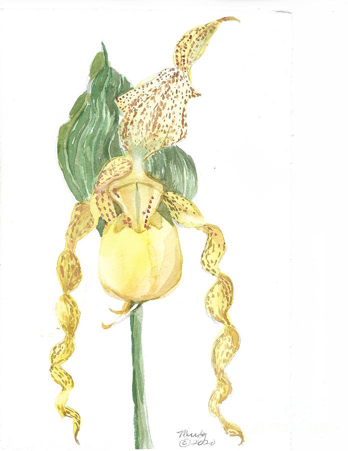  Yellow Lady Slipper Painting by Mindy Newman