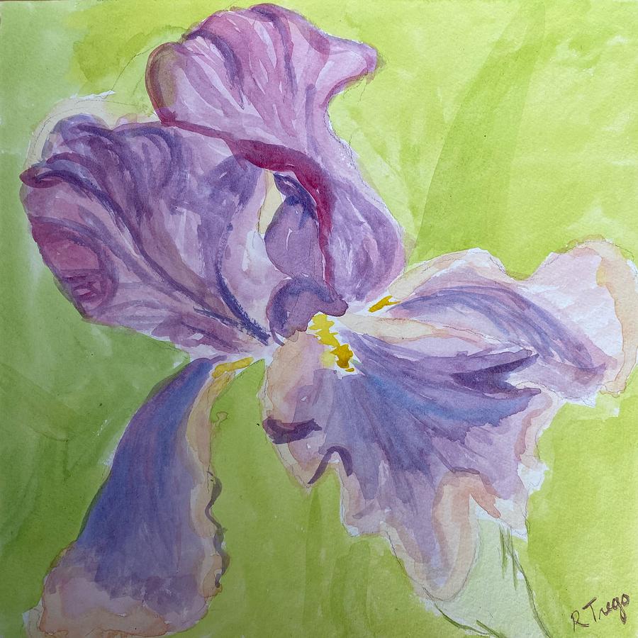 Botanic Garden Iris Painting by Rachel Trego - Fine Art America