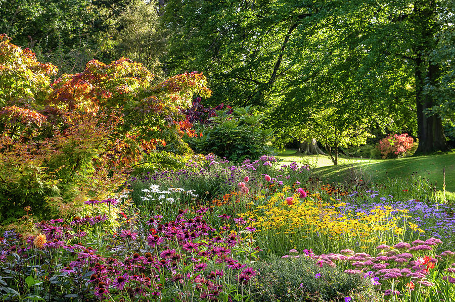 Botanic gardens Photograph by Tim Clark - Pixels