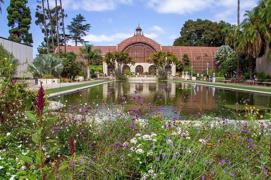 Botanical Building in Balboa Park Photograph by Rachel Cobb - Fine Art ...