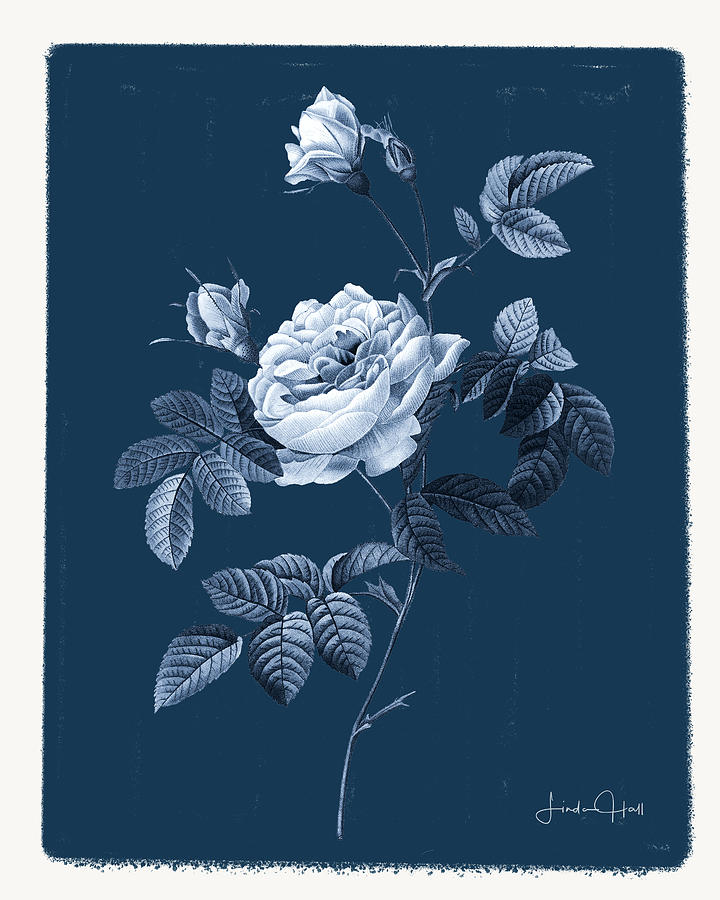 Botanical Cyanotype Series No. Nine Digital Art by Linda Lee Hall