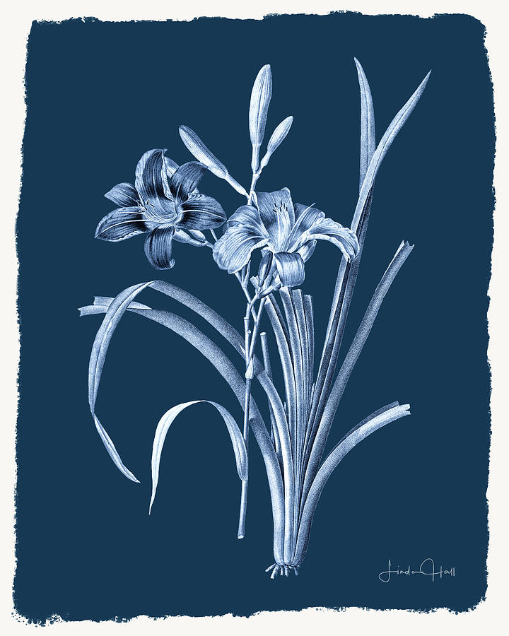 Flower Digital Art - Botanical Cyanotype Series No. Six by Linda Lee Hall