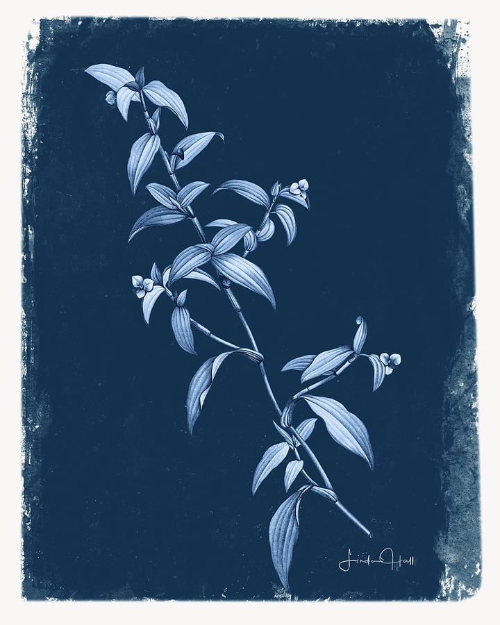 Flower Digital Art - Botanical Cyanotype Series No. Three by Linda Lee Hall