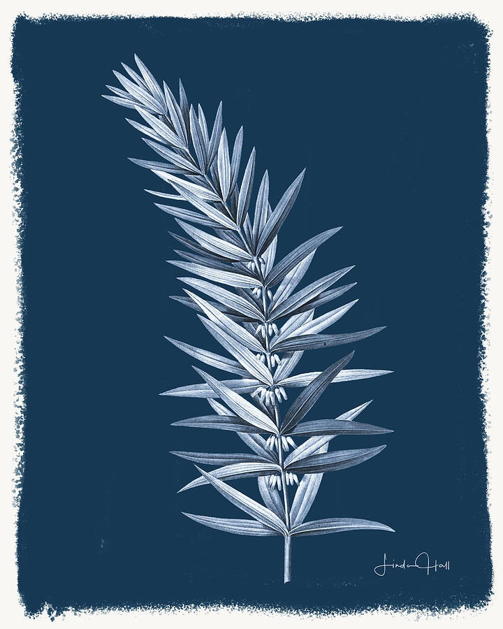 Flower Digital Art - Botanical Cyanotype Series No.Eight by Linda Lee Hall