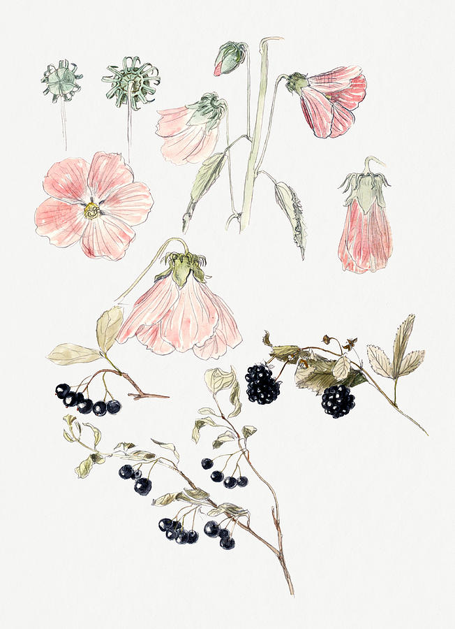 Botanical Detail Studies Painting by MotionAge Designs