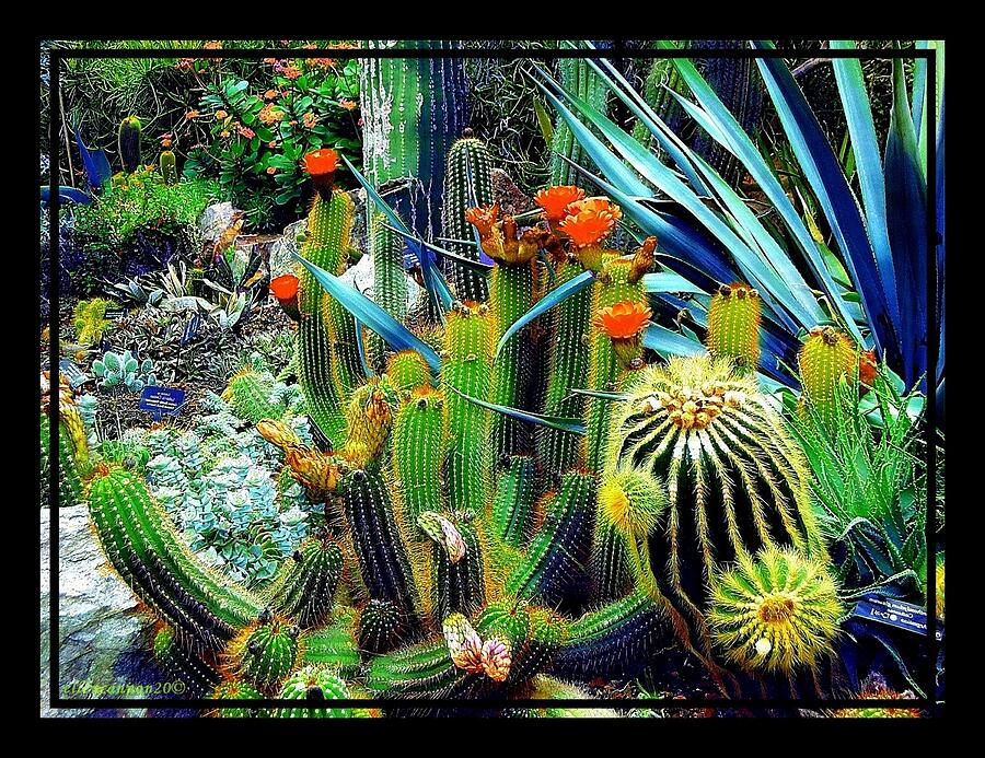 Botanical Garden Beauties Digital Art by Ellen Cannon - Fine Art America