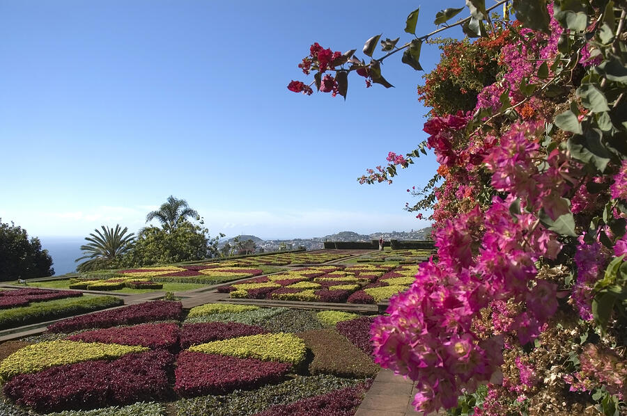Botanical Garden, Funchal, Madeira Photograph by Kontrast-fotodesign