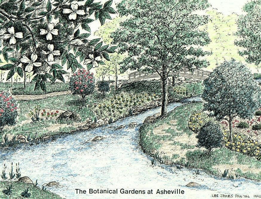 Botanical Gardens at UNCA in Asheville NC Mixed Media by Lee Pantas