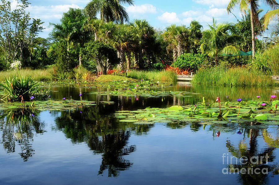  Botanical Gardens Naples  Florida USA Photograph by Elaine Manley
