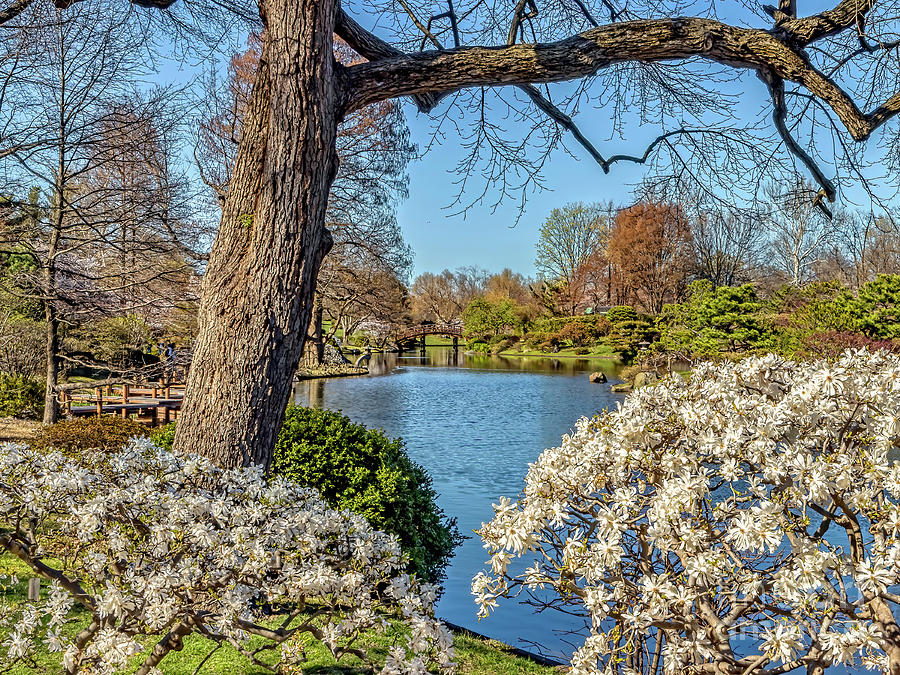 Botanical Gardens Photograph by Tom Watkins PVminer pixs