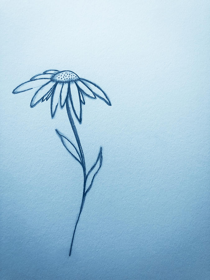 Botanical In Pencil Drawing