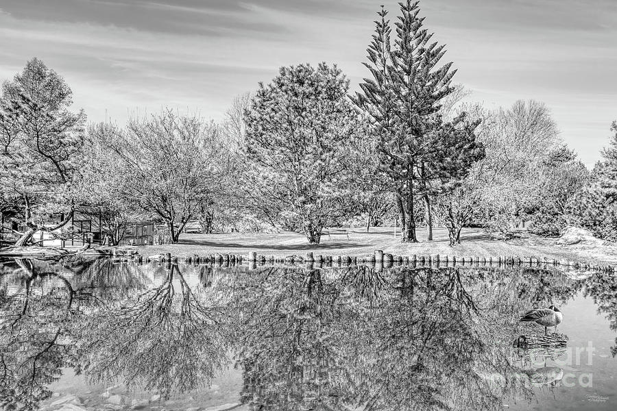 Botanical Park Spring Season Reflections Grayscale Photograph by Jennifer White