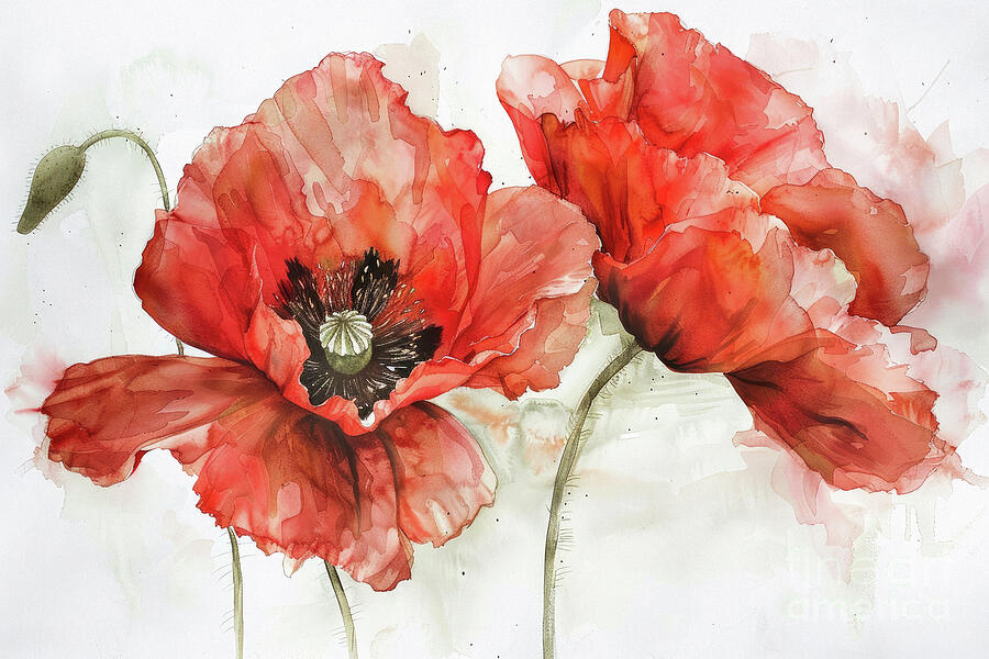Botanical Red Poppies Mixed Media by Tina LeCour