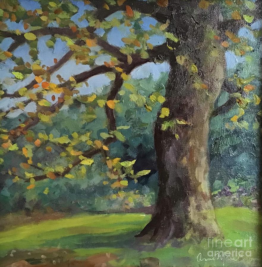 Botanical Tree Painting by Anne Marie Brown