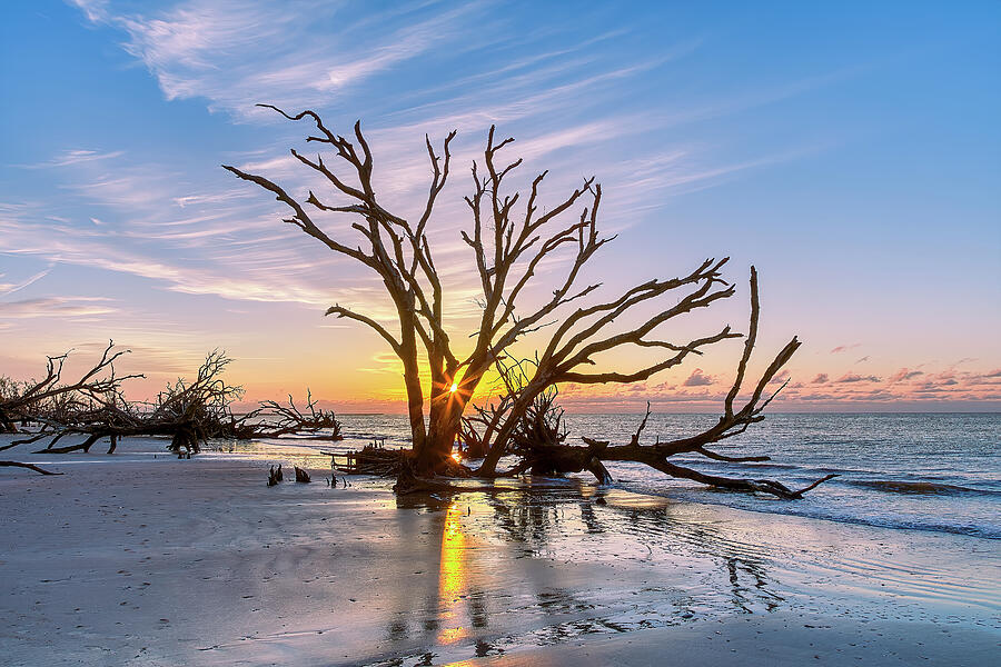 Botany Bay South Carolina - Sunburst Photograph by Steve Rich - Pixels