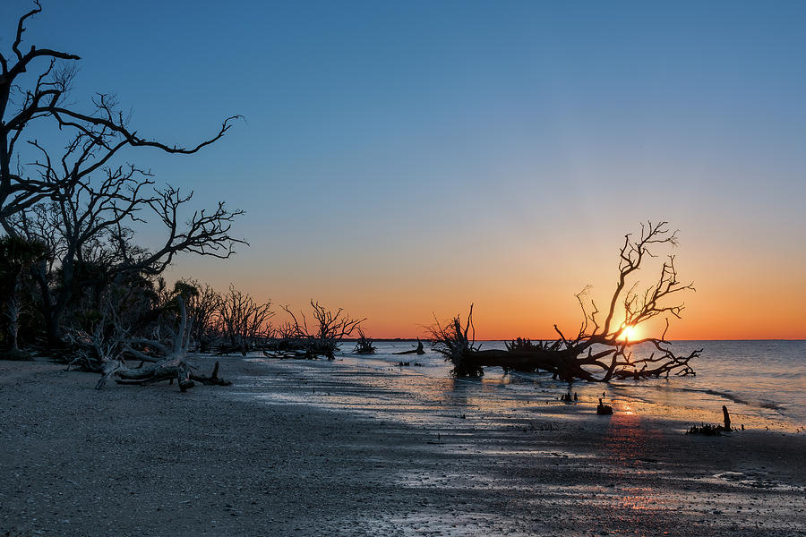 Botany Bay Sunrise-1 Photograph by John Kirkland
