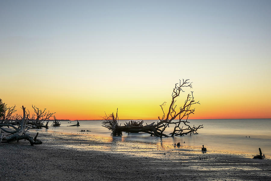 Botany Bay Sunrise-4 Photograph by John Kirkland
