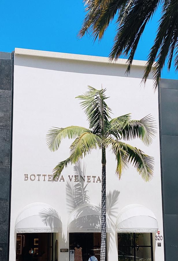 Bottega Veneta Photograph by Cheston Bowerman - Pixels