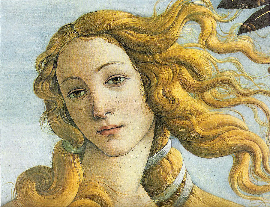 Botticelli Birth Of Venus  Painting by Tony Rubino