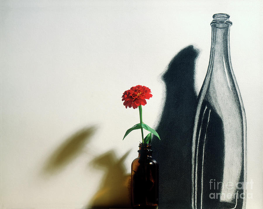 Bottle and shadow drawing Mixed Media by Garry McMichael