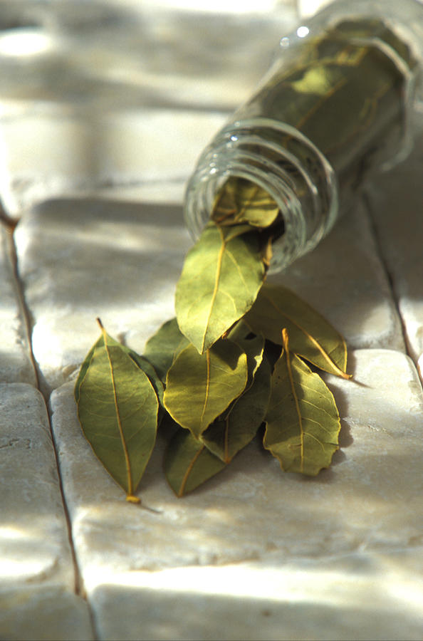 Bottle of spilled bay leaves Photograph by Bill Boch