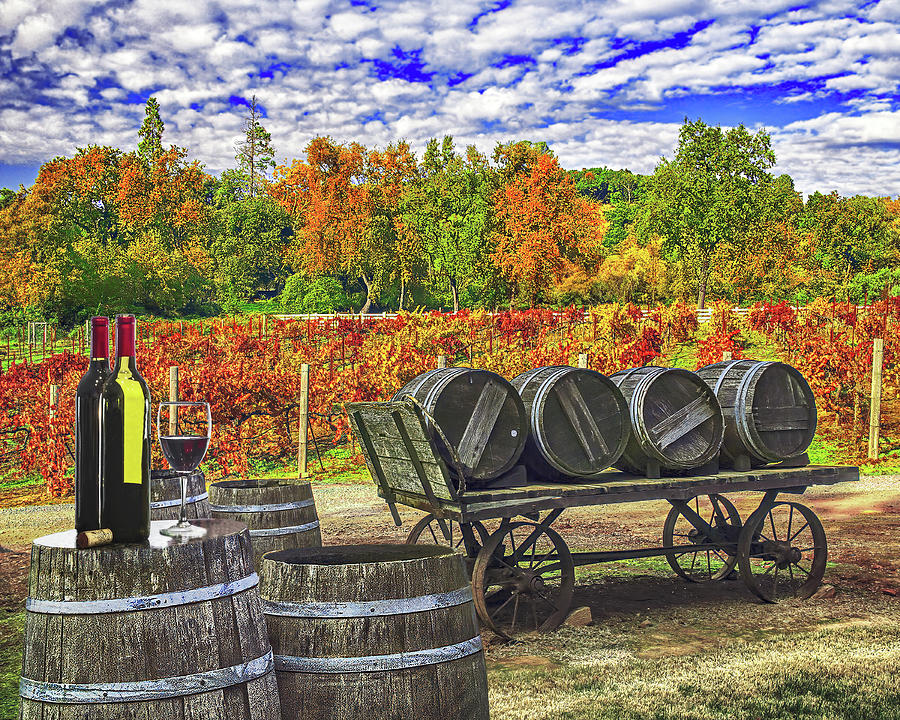 BOTTLES AND WINE BARRELS, California Photograph by Don Schimmel