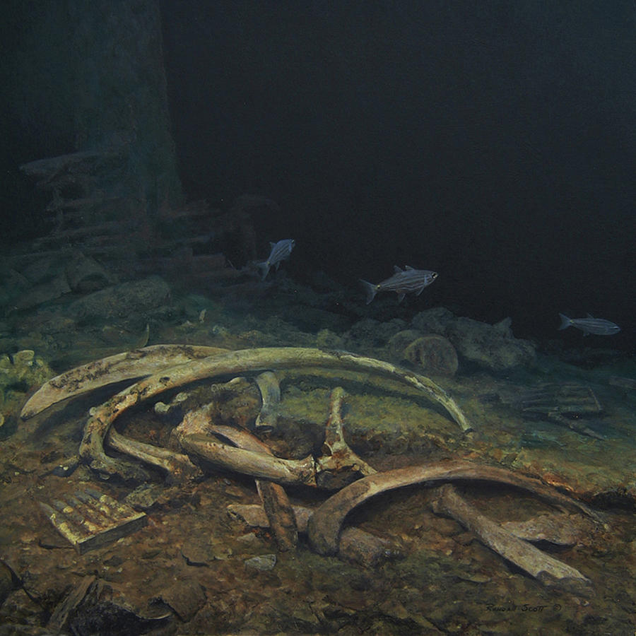 Truk Lagoon Painting - Bottles, Bones, and Bullets by Randall Scott