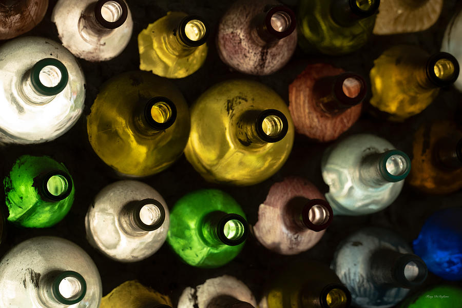 Bottles Photograph by Tony DiStefano