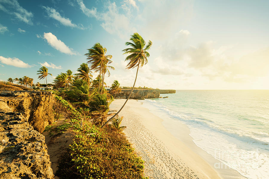 Bottom Bay At Sunrise Barbados Caribbean Photograph By Justin Foulkes