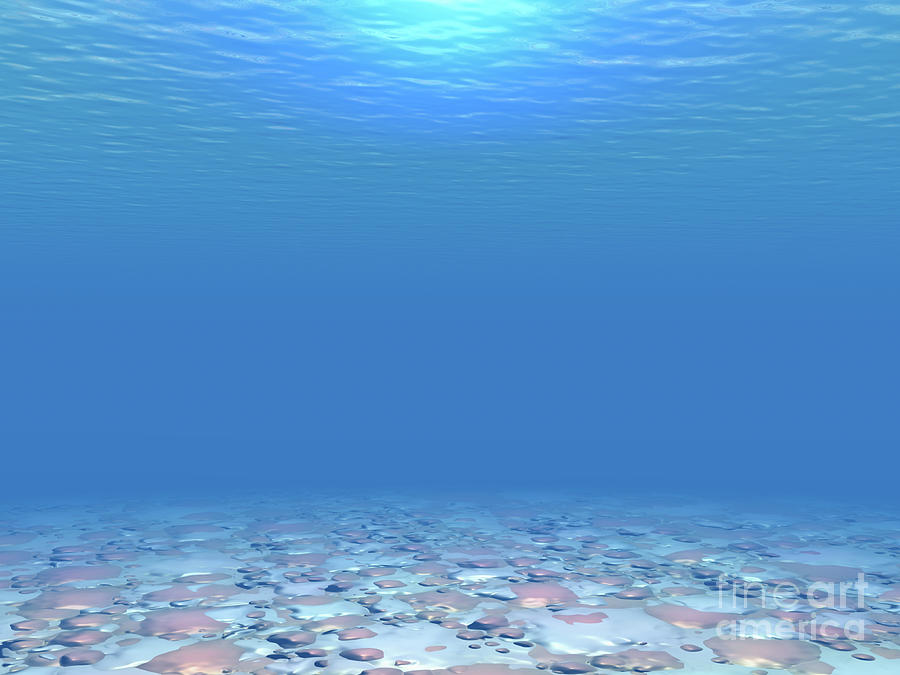 Bottom of The Sea Digital Art by Phil Perkins