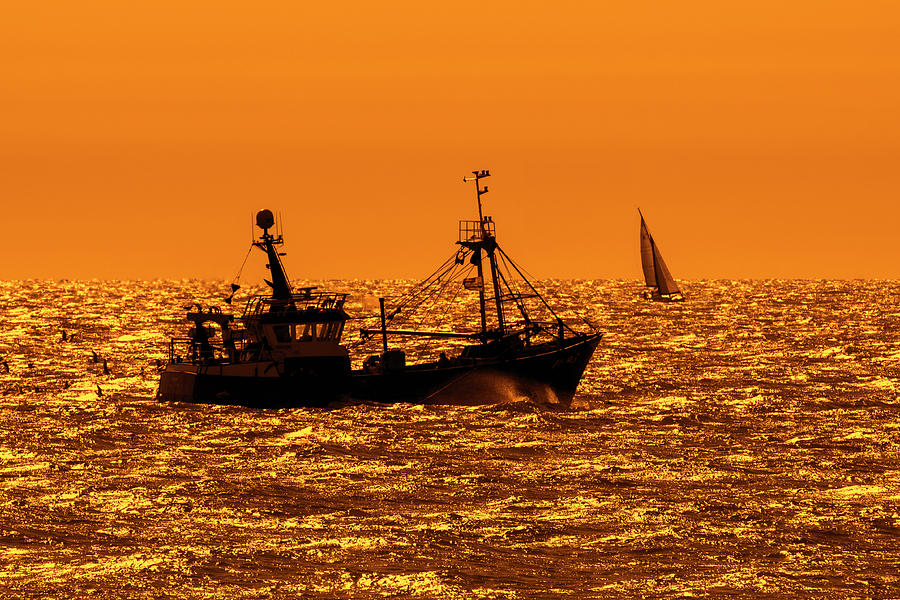 Bottom Trawler at Sunset Photograph by Arterra Picture Library
