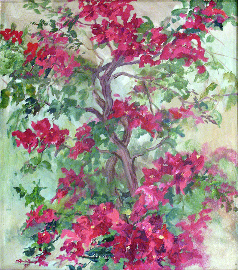 Bougainvillea Dreams Painting by Sheila Parsons