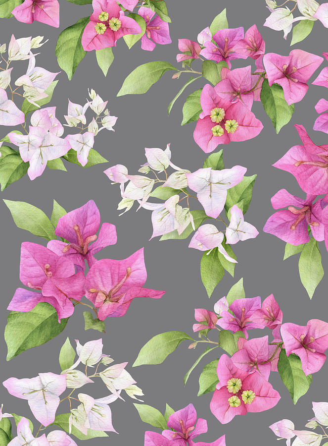Bougainvillea Floral Pattern  Digital Art by HH Photography of Florida