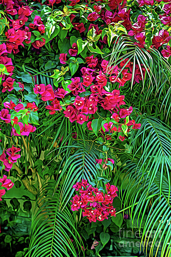 Bougainvillea with Palm Fronds-I Photograph by Roslyn Wilkins
