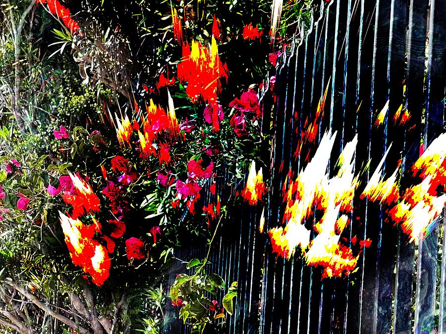 Bougenvilla on Fire Digital Art by Kathleen Boyles