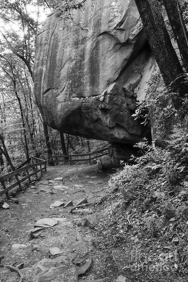 Boulder Above Trail To Hemlock Falls Photograph by Phil Perkins