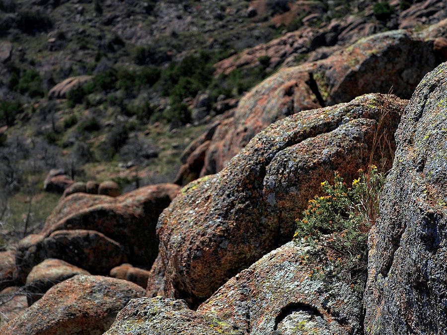 Boulder Color Photograph by Buck Buchanan - Pixels